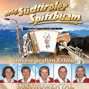 Produktbild: Unsere gro&aacute;en Erfolge-Instrumental