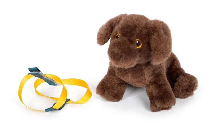Produktbild: Hund mit Tasche und Pflege-Set