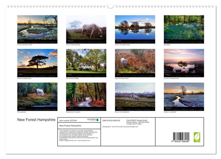 Produktbild: New Forest Hampshire (High Quality Premium Wall Calendar 2026 DIN A2 landscape),CALVENDO 12 Month Wall Calendar
