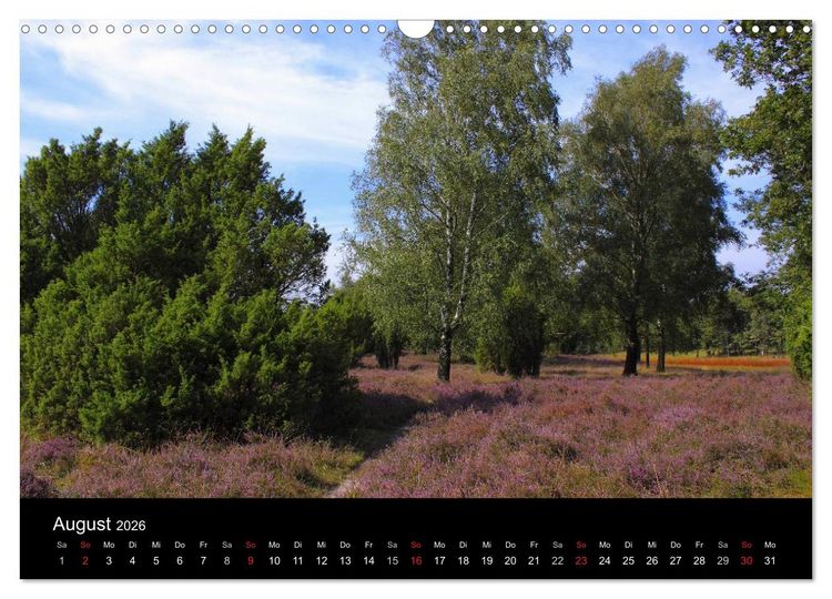 Produktbild: L&uuml;neburg und die L&uuml;neburger Heide (Wandkalender 2026 DIN A3 quer), CALVENDO Monatskalender