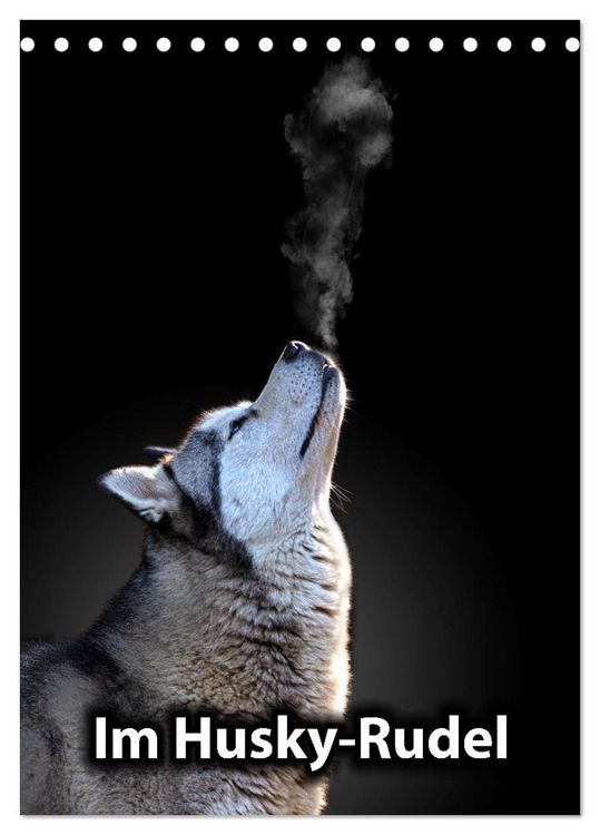 Produktbild: Im Husky-Rudel (Tischkalender 2026 DIN A5 hoch), CALVENDO Monatskalender
