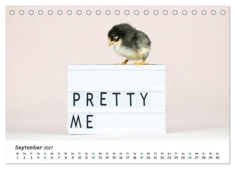 Produktbild: Tierkinder ganz frech (Tischkalender 2027 DIN A5 quer), CALVENDO Monatskalender