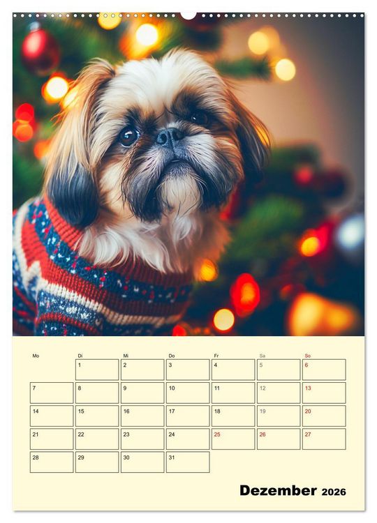 Produktbild: Shih Tzu Alarm. Gl&uuml;ckliche Wuschelk&ouml;pfe (Wandkalender 2026 DIN A2 hoch), CALVENDO Monatskalender