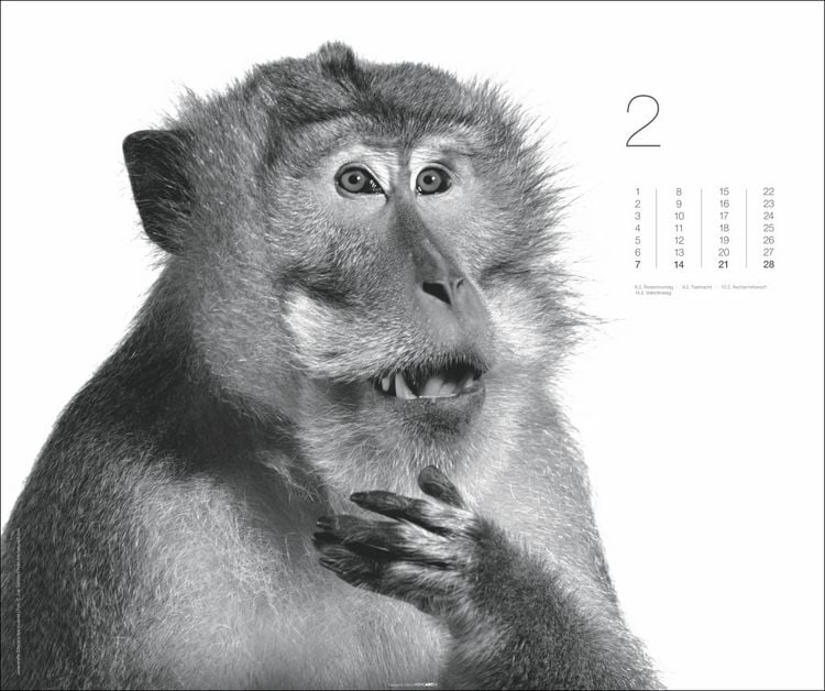 Produktbild: Black & White Animals 2027