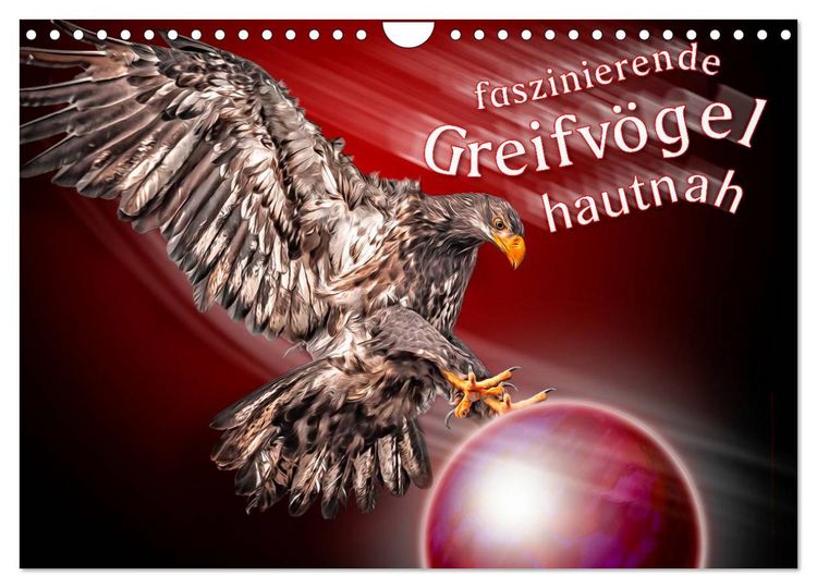 Produktbild: Faszinierende Greifv&ouml;gel hautnah (Wandkalender 2026 DIN A4 quer), CALVENDO Monatskalender