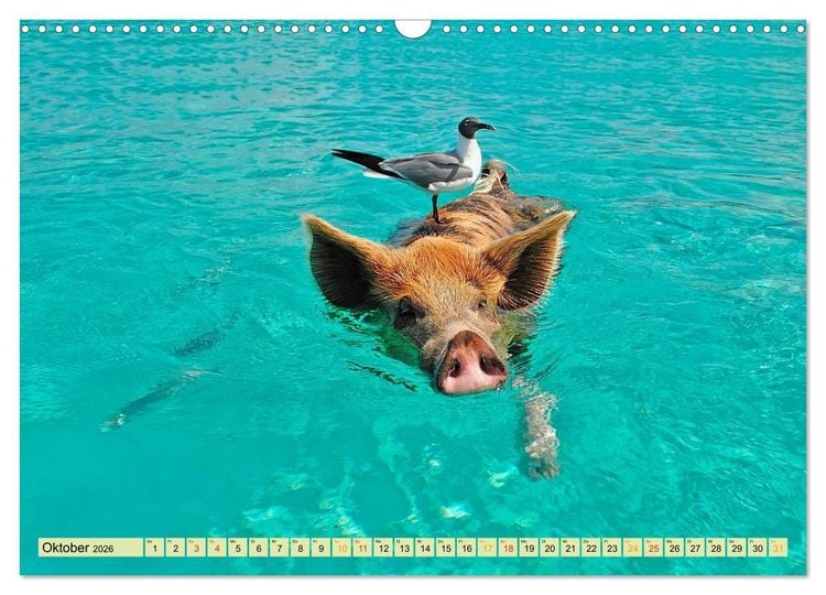 Produktbild: Lustig und verr&uuml;ckt - der ganz andere Tierkalender (Wandkalender 2026 DIN A3 quer), CALVENDO Monatskalender
