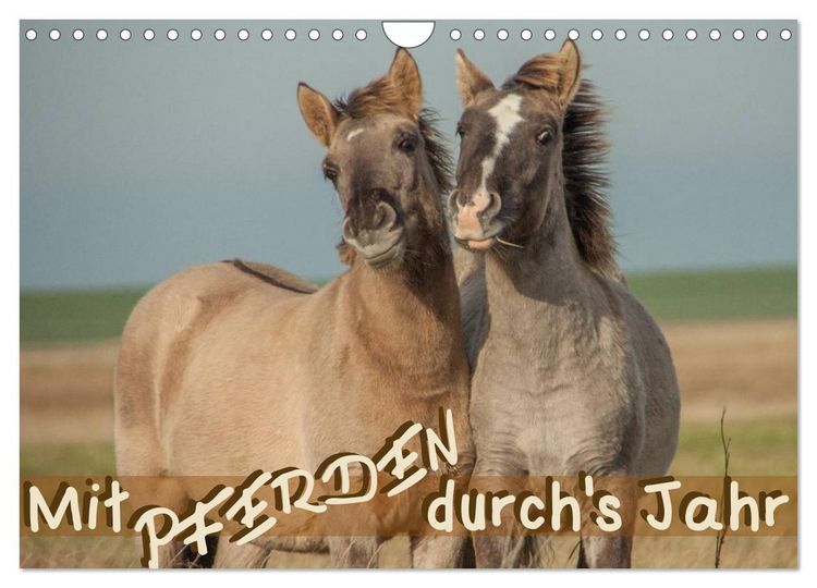 Produktbild: Mit Pferden durch&acute;s Jahr (Wandkalender 2026 DIN A4 quer), CALVENDO Monatskalender