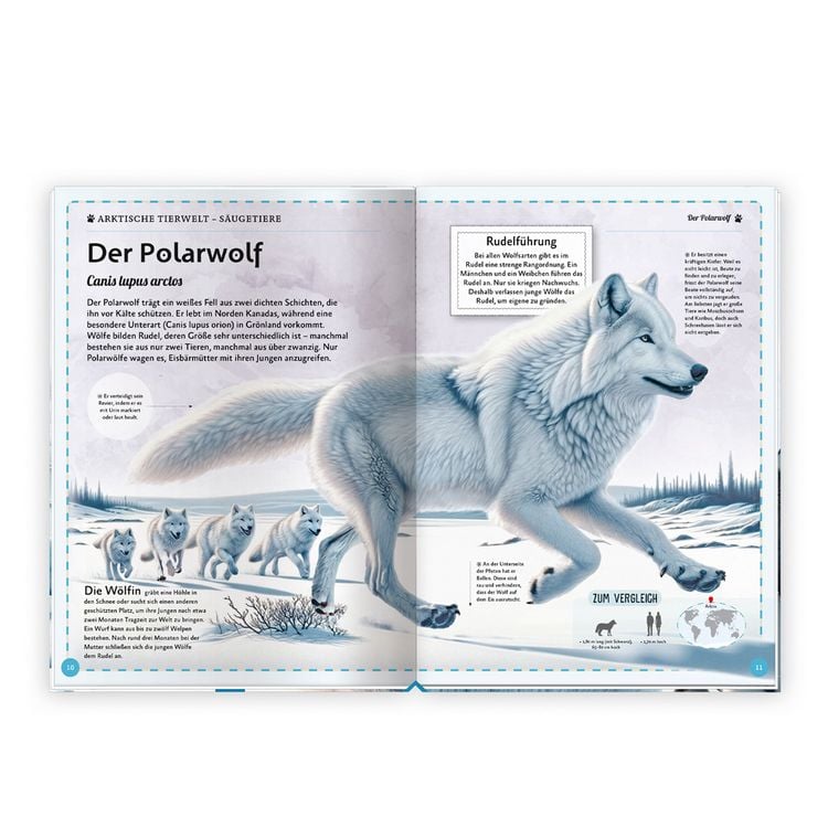 Produktbild: TR&Ouml;TSCH - Kinderbuch Das gro&szlig;artige Buch der Polartiere| Ab 8 Jahren