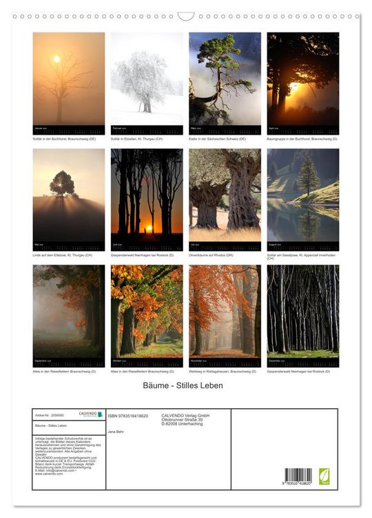 Produktbild: B&auml;ume - Stilles Leben (Wandkalender 2026 DIN A2 hoch), CALVENDO Monatskalender