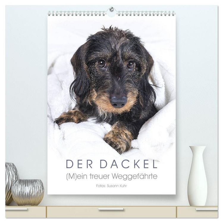 Produktbild: Der Dackel (M)ein treuer Weggef&auml;hrte (hochwertiger Premium Wandkalender 2026 DIN A2 hoch), Kunstdruck in Hochglanz