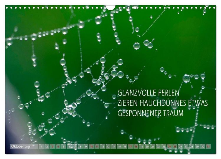 Produktbild: Haiku Poesie in Wort und Bild (Wandkalender 2026 DIN A3 quer), CALVENDO Monatskalender