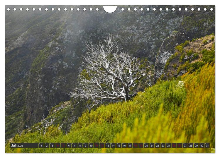 Produktbild: Madeira - Juwel im Atlantik (Wandkalender 2026 DIN A4 quer), CALVENDO Monatskalender