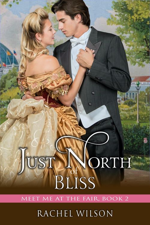 Produktbild: Just North of Bliss (Meet Me at the Fair, Book