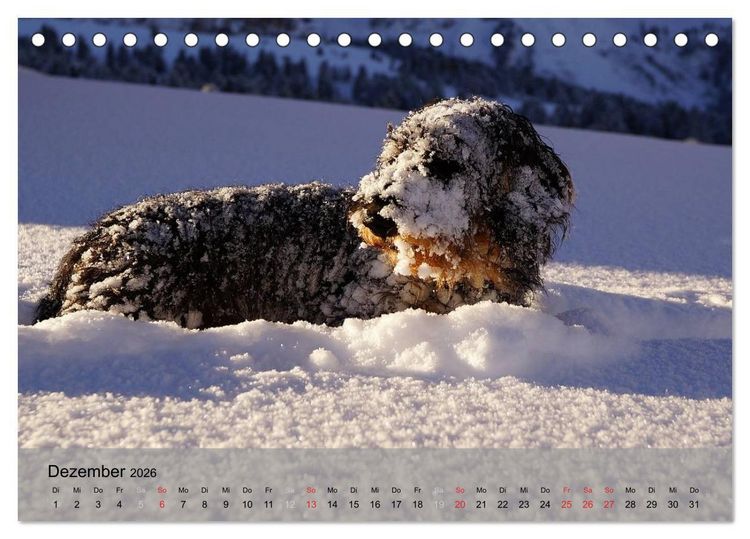Produktbild: Liebenswerte Clowns (Tischkalender 2026 DIN A5 quer), CALVENDO Monatskalender