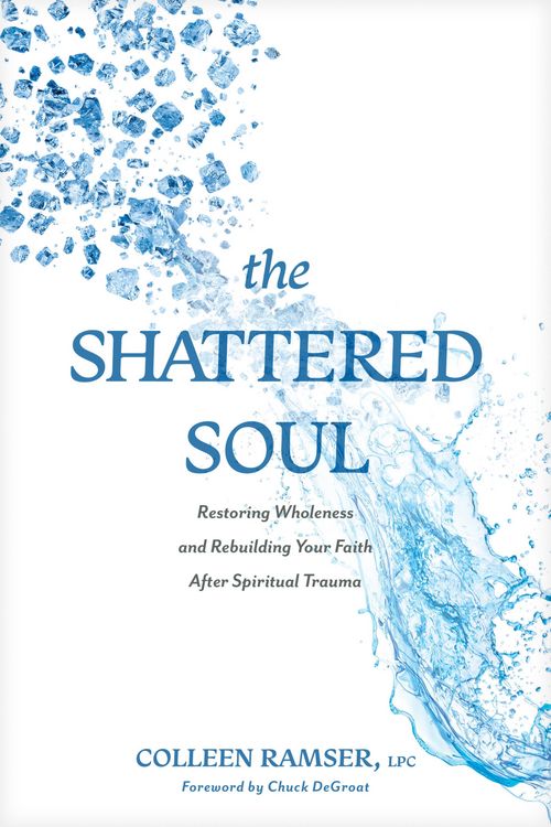 Produktbild: The Shattered Soul