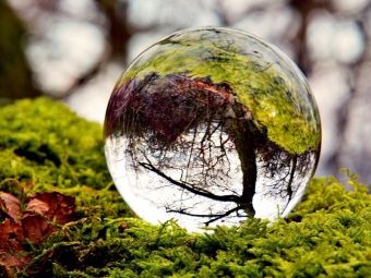 Produktbild: CALVENDO Puzzle Ein Motiv aus dem Kalender Wunderbare Waldkugeln | 1000 Teile Lege-Gr&ouml;&szlig;e 64x48cm Foto-Puzzle f&uuml;r gl&uuml;ckliche Stunden