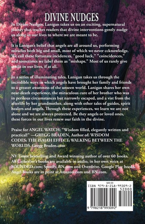 Produktbild: Divine Nudges