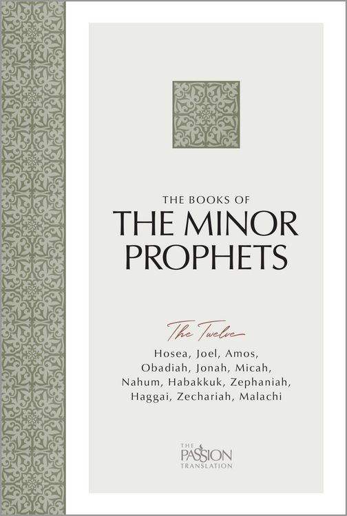 Produktbild: The Books of The Minor Prophets