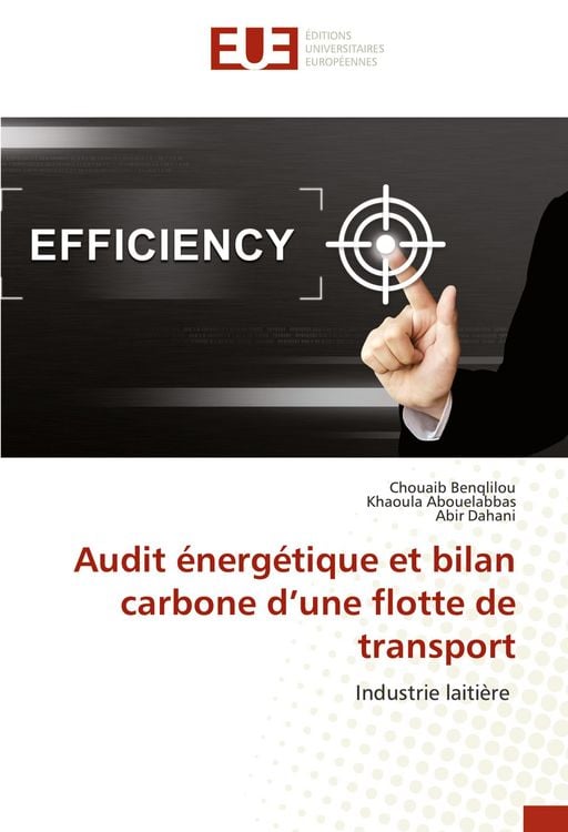 Produktbild: Audit &eacute;nerg&eacute;tique et bilan carbone d'une flotte de transport