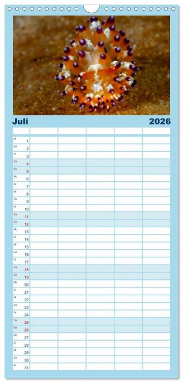 Produktbild: Familienplaner 2026 - Nudis &ndash; Die bunte Welt der Nacktschnecken mit 5 Spalten (Wandkalender, 21 x 45 cm) CALVENDO