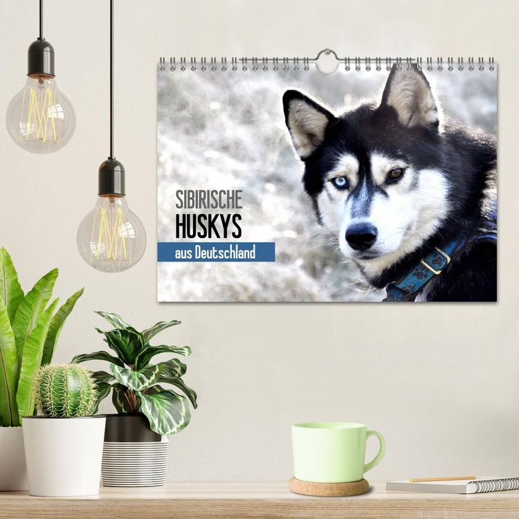 Produktbild: Sibirische Huskys aus Deutschland (Wandkalender 2026 DIN A4 quer), CALVENDO Monatskalender
