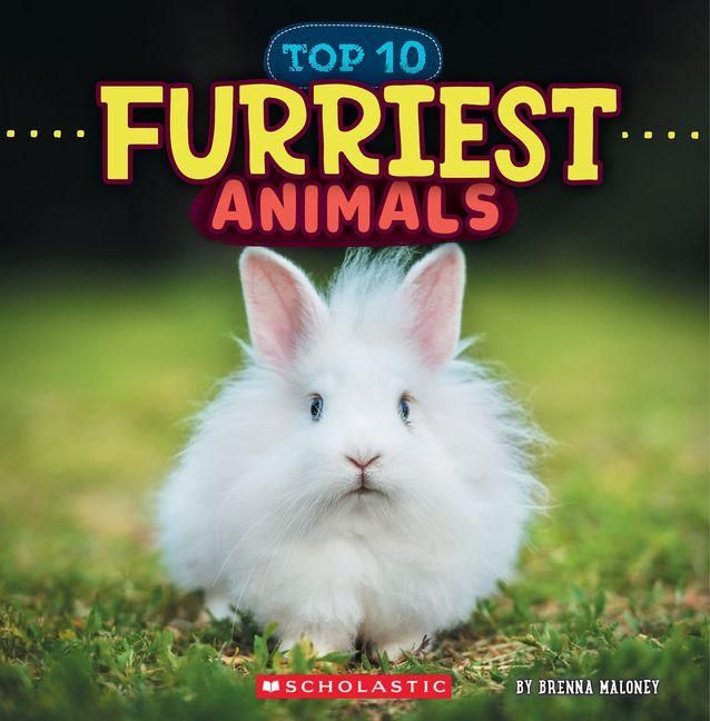 Produktbild: Furriest Animals (Wild World: Top 10)