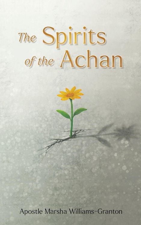Produktbild: The Spirits of the Achan