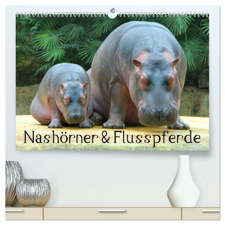 Produktbild: Nash&ouml;rner & Flusspferde (hochwertiger Premium Wandkalender 2026 DIN A2 quer), Kunstdruck in Hochglanz