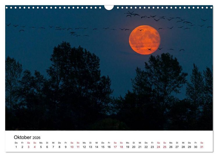 Produktbild: Zug der Kraniche (Wandkalender 2026 DIN A3 quer), CALVENDO Monatskalender
