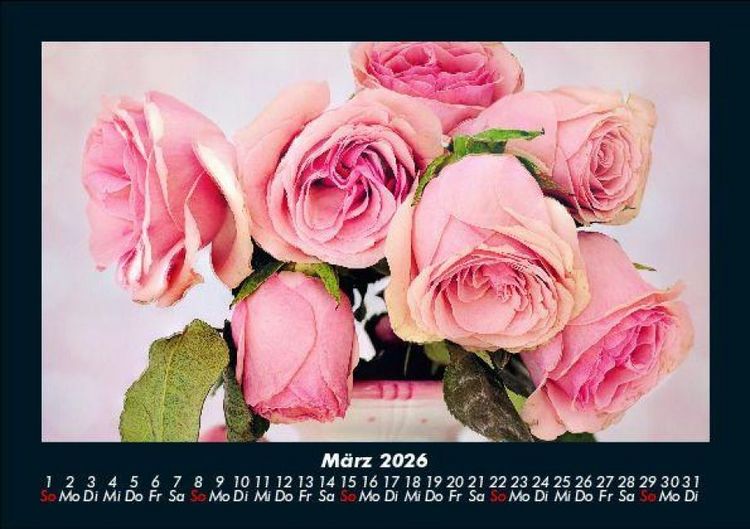 Produktbild: Blumentr&auml;ume 2026 Fotokalender DIN A5