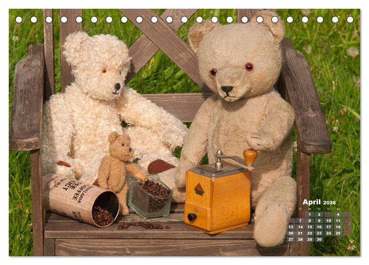 Produktbild: Geliebte B&auml;ren - Teddys (Tischkalender 2026 DIN A5 quer), CALVENDO Monatskalender