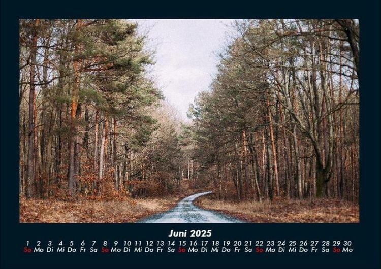 Produktbild: Waldzauber 2025 Fotokalender DIN A4