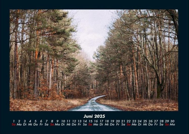 Produktbild: Waldzauber 2025 Fotokalender DIN A4
