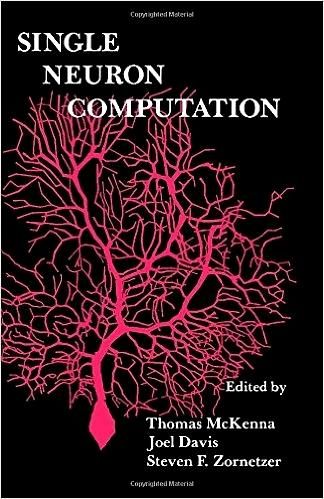 Produktbild: Single Neuron Computation