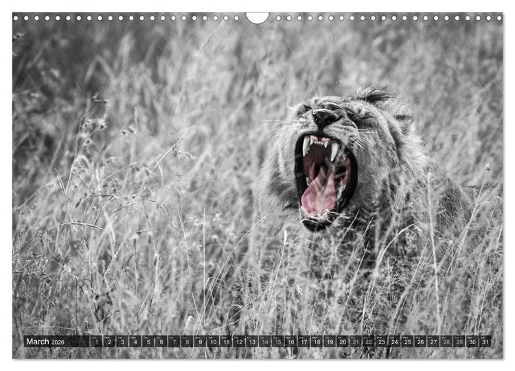 Produktbild: tanzania fine art (Wall Calendar 2026 DIN A3 landscape), CALVENDO 12 Month Wall Calendar