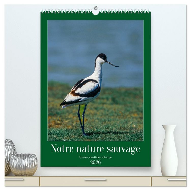 Produktbild: Notre nature sauvage, oiseaux aquatiques d'Europe (Calendrier mural 2026 DIN A2 horizontal) calendrier de bureau