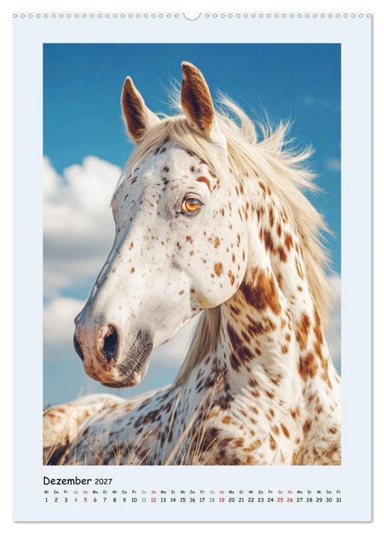 Produktbild: Der Appaloosa. Ein zuverl&auml;ssiges Westernpferd in bunter Optik (hochwertiger Premium Wandkalender 2027 DIN A2 hoch), Kunstdruck in Hochglanz