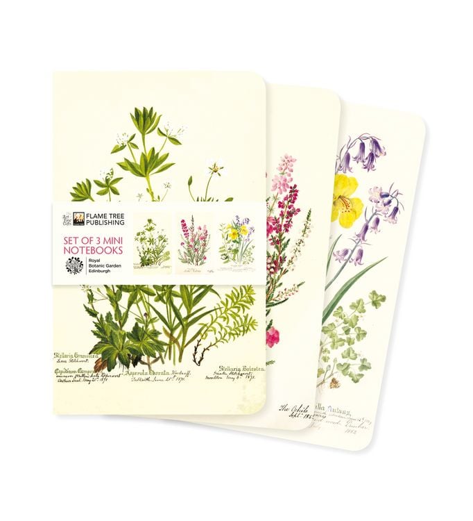 Produktbild: Dreier Set Mini-Notizb&uuml;cher: Royal Botanic Garden Edinburgh
