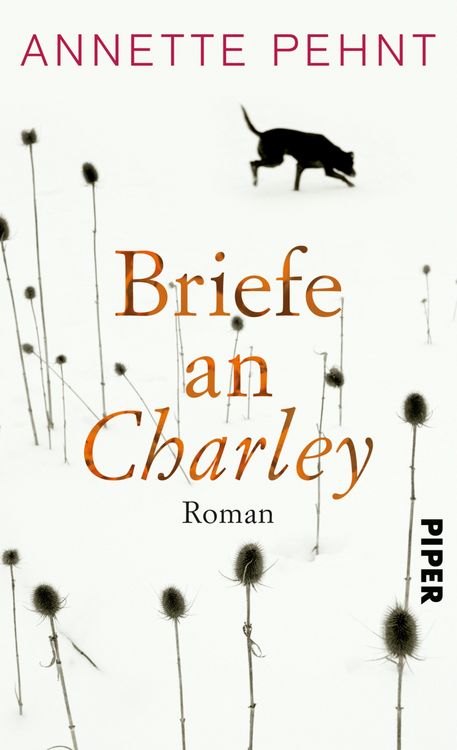 Produktbild: Briefe an Charley
