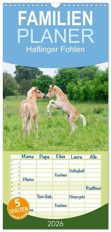 Produktbild: Familienplaner 2026 - Haflinger Fohlen mit 5 Spalten (Wandkalender, 21 x 45 cm) CALVENDO