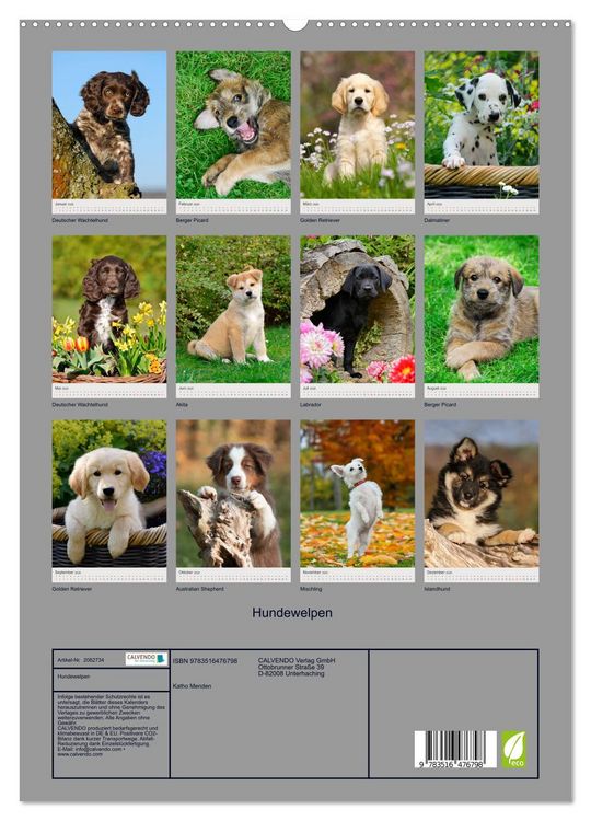 Produktbild: Hundewelpen (hochwertiger Premium Wandkalender 2026 DIN A2 hoch), Kunstdruck in Hochglanz