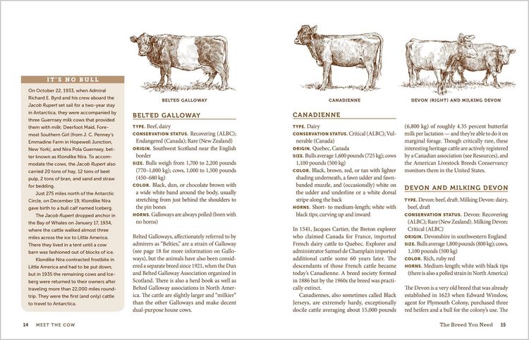 Produktbild: The Backyard Cow