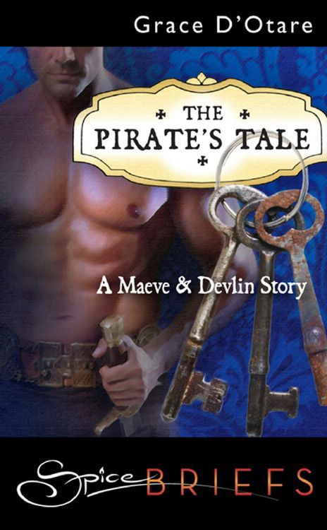 Produktbild: The Pirate's Tale
