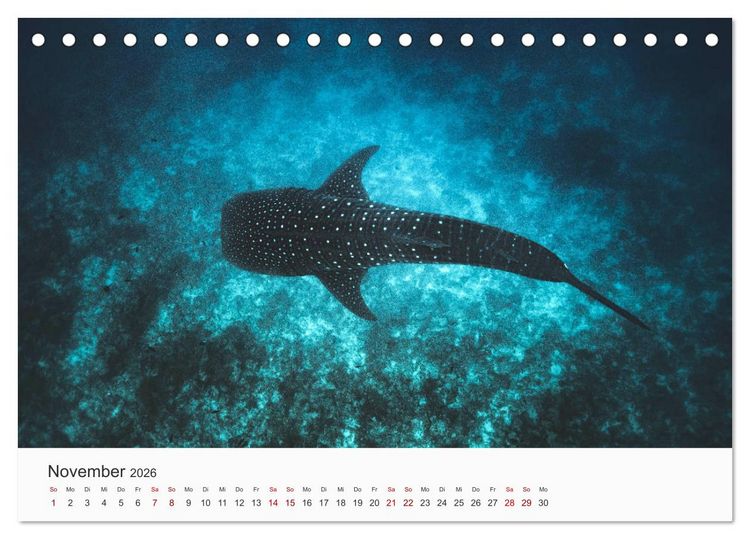 Produktbild: Malediven - Die sch&ouml;nsten Str&auml;nde der Welt. (Tischkalender 2026 DIN A5 quer), CALVENDO Monatskalender