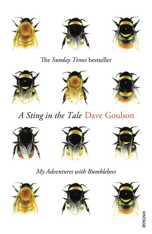 Produktbild: A Sting in the Tale