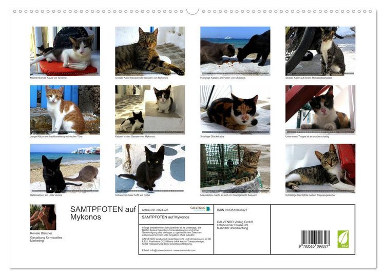 Produktbild: SAMTPFOTEN auf Mykonos (hochwertiger Premium Wandkalender 2026 DIN A2 quer), Kunstdruck in Hochglanz