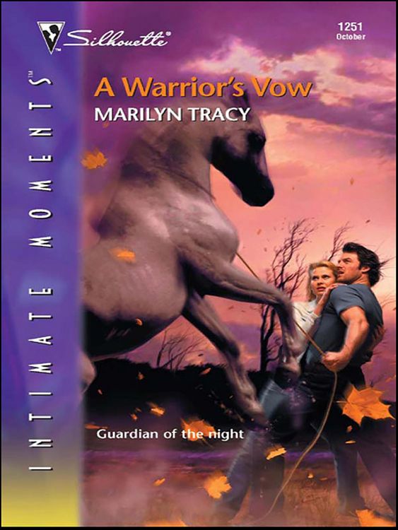 Produktbild: A Warrior's Vow