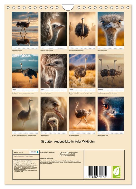 Produktbild: Strau&szlig;e - Augenblicke in freier Wildbahn (Wandkalender 2026 DIN A4 hoch), CALVENDO Monatskalender