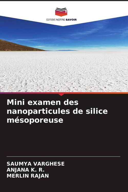 Produktbild: Mini examen des nanoparticules de silice m&eacute;soporeuse