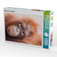 Produktbild: CALVENDO Puzzle Portrait eines Jungtieres 1000 Teile Lege-Gr&ouml;&szlig;e 48 x 64 cm Foto-Puzzle Bild von Elmar Weiss